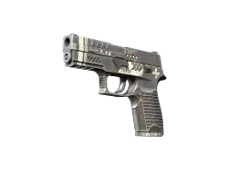 ZywOo's P250 | Re.built (Factory New) CS2 skin