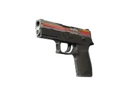 molodoy's P250 | Cassette (Field-Tested) CS2 skin