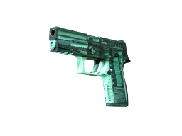 donk's P250 | X-Ray (Factory New) CS2 skin