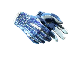 NiKo's ★ Sport Gloves | Amphibious (Factory New) CS2 skin