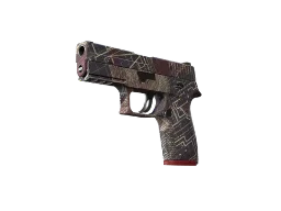 molodoy's P250 | Facility Draft (Factory New) CS2 skin