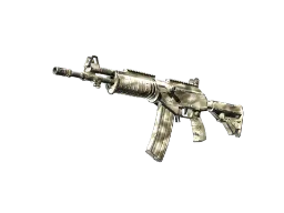 ZywOo's Galil AR | Sage Spray (Field-Tested) CS2 skin