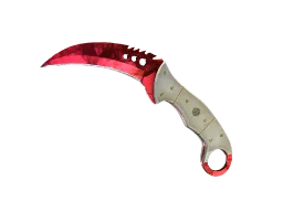 molodoy's ★ Talon Knife | Doppler (Factory New) CS2 skin